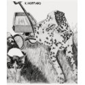 Dalmatian and Kitten t-shirts by Hoffard Dalmatian and Kitten t-shirts