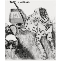 Dalmatian and Kitten t-shirts