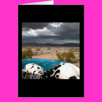 Dalmatian and Pool Card by magentaraven Dalmatian and Pool Card