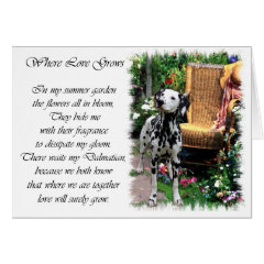 Dalmatian Art Gifts card