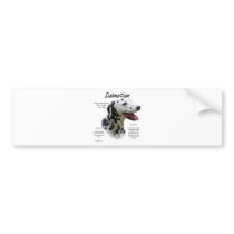 Dalmatian (blk) History Design Bumper Stickers