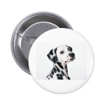Dalmatian Button