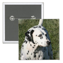 Dalmatian Button