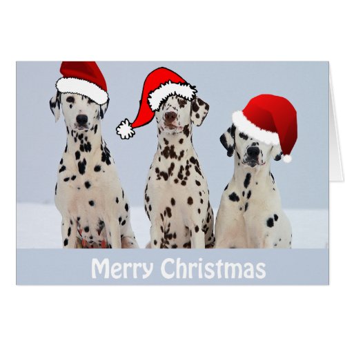 Dalmatian Christmas Card