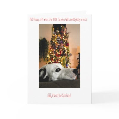 Dalmatian Dog Christmas Card by lpowers