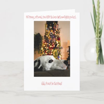 Dalmatian Dog Christmas Card