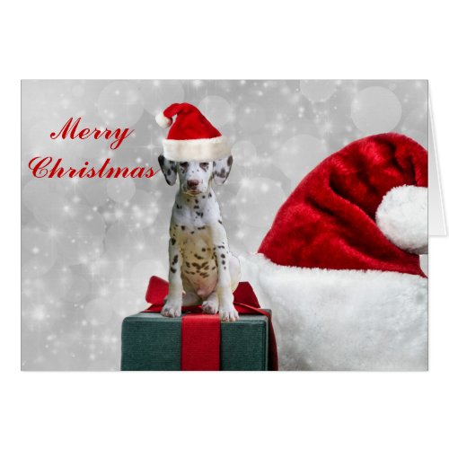 Dalmatian dog holiday card