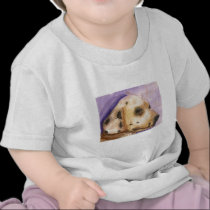 Dalmatian Dog Infant shirt t-shirts