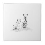 Dalmatian Dog Portrait Ceramic Tile tiles