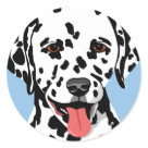 round_sticker - Set of round stickers with dalmatian dog.