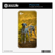Dalmatian Dogs iPhone 4/4S Skin Decals For The iPhone 4