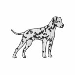 Dalmatian Polo Shirt