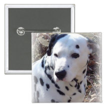 Dalmatian Fire Dog Square Pin
