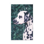 Dalmatian Headstudy -- Grunt Stretched Canvas Prints