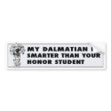 Dalmatian Honor bumpersticker