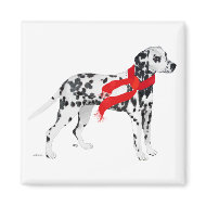 Dalmatian in a Red Scarf magnet