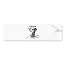 Dalmatian (liver) History Design bumper stickers