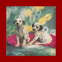 Dalmatian Magnet