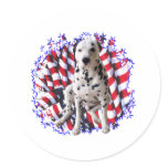 Dalmatian Patriot Round Stickers