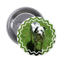 Dalmatian Photo Round Button