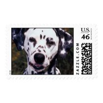Dalmatian postage by freespiritdesigns Dalmatian postage