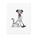 Dalmatian postcards