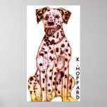 Dalmatian Print