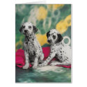 Dalmatian Puppies Cards