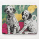 Dalmatian Puppies Mousepad