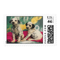 Dalmatian Puppies postage by freespiritdesigns Dalmatian Puppies postage