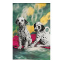 Dalmatian Puppies Poster posters by ironydesignphotos Dalmatian Puppies Poster posters