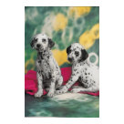 postcard - Two dalmatian puppies photograph. postcard - Two dalmatian puppies photograph.