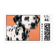 Dalmatian Puppies Stamp