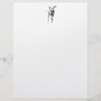 dog letterhead