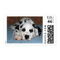 Dalmatian Puppy postage by Ldavis9959 Dalmatian Puppy postage