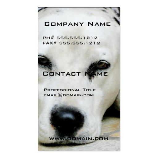 Dalmatian Resting Business Cards (front side)