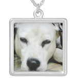 Dalmatian Resting  Necklace