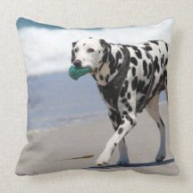 Dalmatian - Solo Throw Pillow