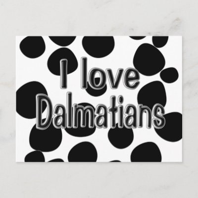 Dalmatian Spots