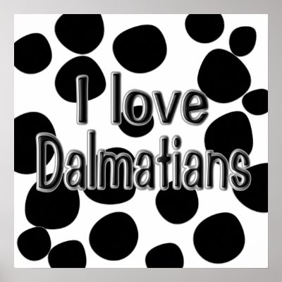 Dalmatian Spots