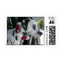 Dalmatian Stamp