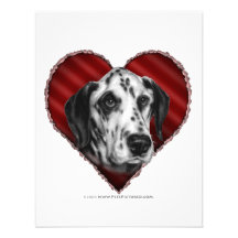 Dalmatian with Heart Invitations