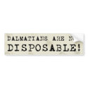 Dalmatians are Not Disposable Bumper Sticker bumper stickers