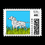 Dalmatians in field stamps