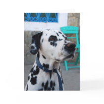 Dalmation cards by Maria_K_Bell Dalmation cards