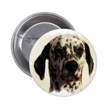 Dalmation Dog Button