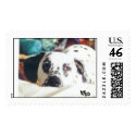 Dalmation Face postage
