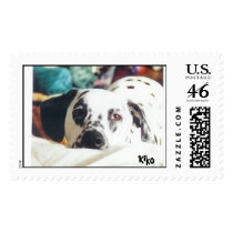 Dalmation Face postage
