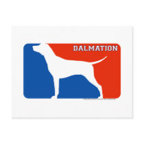 Dalmation Major League Dog Postcard