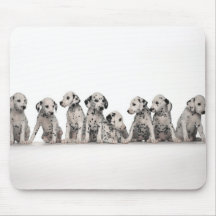 dalmation mouse pad